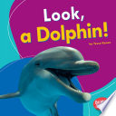 Look, a dolphin! by Kenan, Tessa
