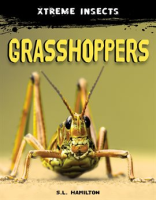 Grasshoppers by Hamilton, S. L