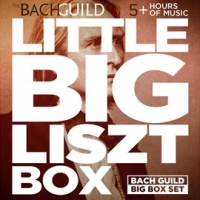 Little_Big_Lizst_Box