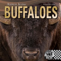 Buffaloes by Llanas, Sheila Griffin