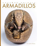 Armadillos by Riggs, Kate