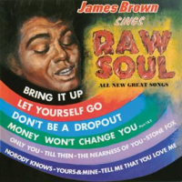 James Brown Sings Raw Soul by James Brown