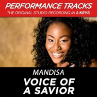 Voice_Of_A_Savior__Performance_Tracks__-_EP