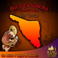 Baile En Sonora by Various Artists