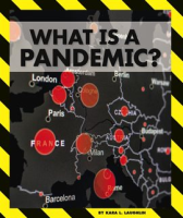 What Is a Pandemic? by Laughlin, Kara L