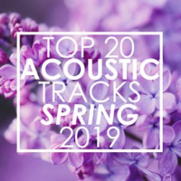 Top 20 Acoustic Tracks Spring 2019 (Instrumental) by Guitar Tribute Players