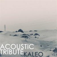 Acoustic Tribute To Kaleo by Guitar Tribute Players