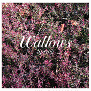Spring by Wallows (Musical group)