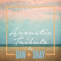 Acoustic Tribute To Dan + Shay by Guitar Tribute Players