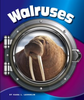 Walruses by Laughlin, Kara L