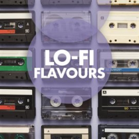 Lo-Fi Flavours by Bob Bradley