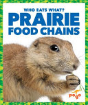 Prairie food chains by Pettiford, Rebecca