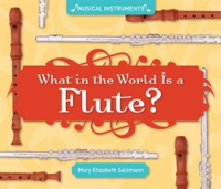 What in the World Is a Flute? by Salzmann, Mary Elizabeth