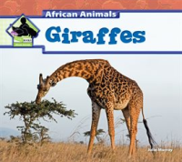Giraffes by Murray, Julie