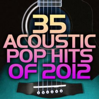 35 Acoustic Pop Hits Of 2012 by Guitar Tribute Players