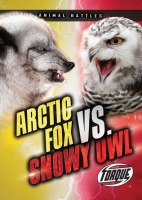 Arctic fox vs. snowy owl by Sommer, Nathan
