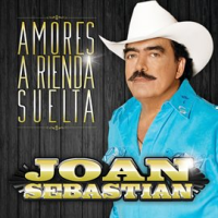 Amores A Rienda Suelta by Joan Sebastian