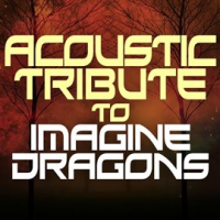 Acoustic Tribute To Imagine Dragons by Guitar Tribute Players