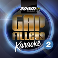 Zoom Karaoke Gap Fillers - Volume 2 by Zoom Karaoke