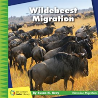 Wildebeest Migration by Gray, Susan H