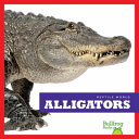 Alligators by Black, Vanessa