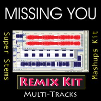 Missing You (Multi Tracks Tribute to The Black Eyed Peas) by REMIX Kit