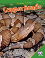 Copperheads by Bell, Samantha S
