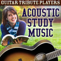 Acoustic Study Music by Guitar Tribute Players