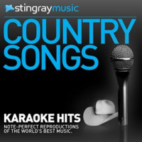 Karaoke - In the style of Regina Regina - Vol. 1 by Stingray Music