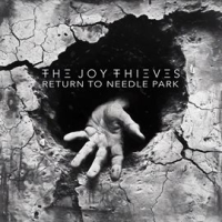 Return To Needle Park by The Joy Thieves