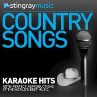 Karaoke - In The Style Of Chris Ledoux - Vol. 3 by Stingray Music