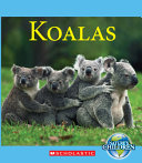 Koalas by Gregory, Josh