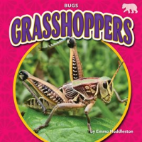 Grasshoppers by Huddleston, Emma