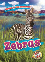 Zebras by Duling, Kaitlyn