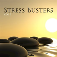 Stress Busters Vol 1 by Celtic Spirit