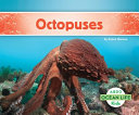 Octopuses by Hansen, Grace