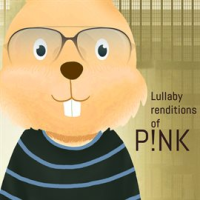 Lullaby Renditions of Pink by The Cat and Owl