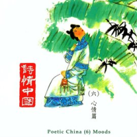 Poetic China 6 - Moods by Various Artists