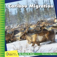 Caribou Migration by Gray, Susan H