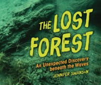 The_Lost_Forest