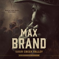 Sour Creek Valley by Brand, Max