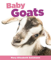 Baby Goats by Salzmann, Mary Elizabeth
