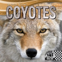 Coyotes by Llanas, Sheila Griffin