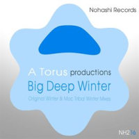 Big Deep Winter by Toru S