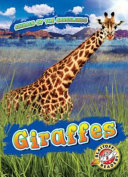 Giraffes by Duling, Kaitlyn
