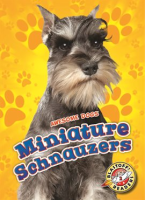 Miniature Schnauzers by Duling, Kaitlyn