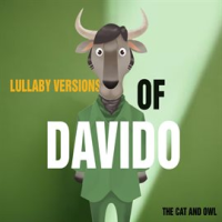 Lullaby Versions of Davido by The Cat and Owl