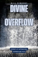 Divine Overflow by Vincent, Bill