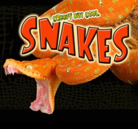 Creepy But Cool Snakes by Lundgren, Julie K