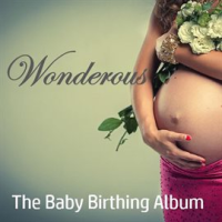 Wonderous__The_Baby_Birthing_Album